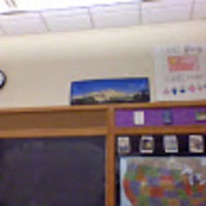 Meet your Posher, Ally